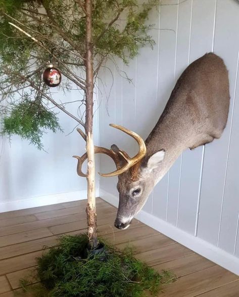 Deer Antler Decor Ideas, Skull Mount Ideas, Hunting Room Decor, Deer Mount Ideas, Deer Taxidermy, Deer Hunting Decor, Deer Skull Mount, Deer Heads Mount, Christmas Tree Idea