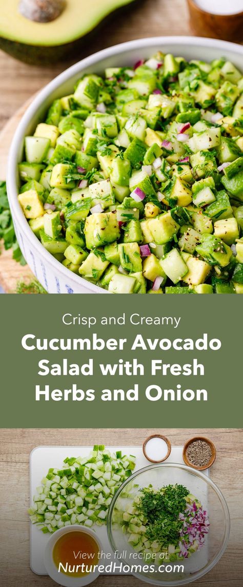 Cucumbers Avocado Salad, Cucumber Salad No Tomatoes, Light Cucumber Salad, French Cucumber Salad, Asian Avocado Salad, Avocado Onion Salad, Cucumber Celery Salad, Cucumber Summer Salad, English Cucumber Recipes Healthy