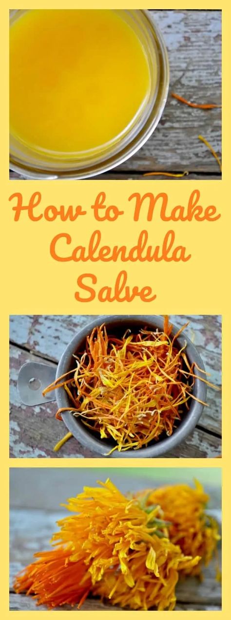 Salves And Balms, Herbal Medicine Cabinet, Cooking With Turmeric, Calendula Salve, Salve Recipes, Herbal Salves, Healing Salves, Herbal Apothecary, Natural Healing Remedies