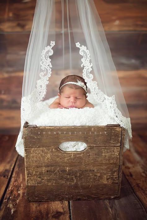 Newborn photography. Must have with my veil Veil Photography, Foto Newborn, Baby Fotografie, Baby Poses, New Born Baby, Foto Baby, Newborn Shoot, Newborn Baby Photography, Newborn Photography Props