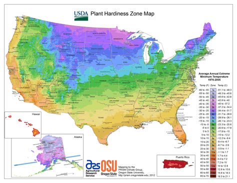 The 2012 USDA Hardiness Zone Map (National Gardening Association) Planting Zones Map, States Video, Plant Hardiness Zone Map, Economic Collapse, Planting Calendar, Climate Zones, Risk Analysis, Plant Zones, Gardening Zones