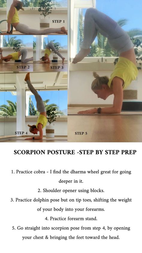 Scorpion pose prep -step by step #yoga #inversion #scorpionpose #yogapostures #yogaposesideas #yogateacher Yoga Scorpion Pose, Scorpion Pose Yoga, Scorpion Handstand, Scorpion Pose, Dolphin Pose, Yoga Inspo, Dharma Wheel, Dog Yoga, Pose Yoga