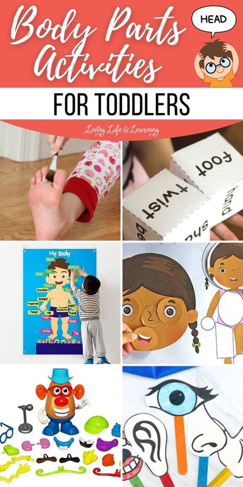 Body Parts Activities for Toddlers Body Part Craft For Toddlers, My Body Lesson Plan For Toddlers, Learning Body Parts Toddlers, My Body Fine Motor Activities, My Body For Preschool, My Body Sensory Bin, Body Part Activity Preschool, All About Me Baby Activities, My Body Toddler Activities