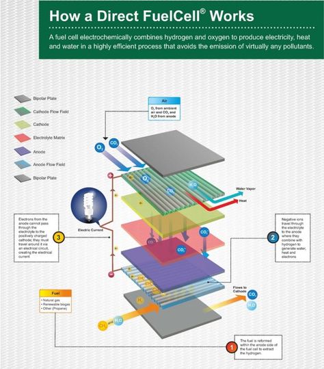 Work Energy And Power, Cell Energy, 3d Learning, Hydrogen Car, Carbon Capture, Cells Project, Hydrogen Generator, Hydrogen Production, Energy Ideas