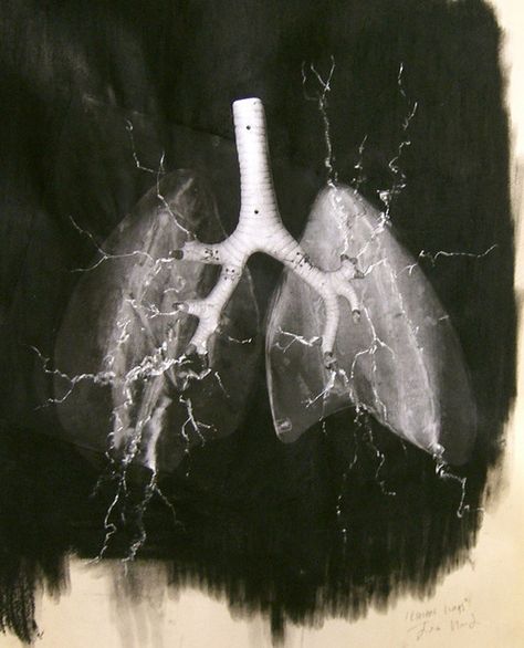 Electric Lungs Lungs Drawing, Lungs Art, Lloyd Jones, Art Movements, Rock Lee, Science Art, Lungs, Black Aesthetic, A Black