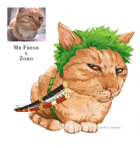 And sooo it begins, my silly silly collection of One Piece characters as internet famous Cat memes!! 🏴‍☠️ First off here's Zoro and Sanji. The whole idea actually started from Zoro as Mr Fresh cuz I saw a meme and thought it'd be hilarious, they have the same vibe eheh _ I already have these as Stickers or Keychains, grab one on Etsy if you want to!! The link's in bio! Or see you at the next comic con in Italy ❤️ (probably Genova) Which character or cat meme would you like to see next? _ #on... Noxus League Of Legends, One Piece Cartoon, Internet Famous, One Piece Meme, One Piece Crew, One Piece Funny, Cat Meme, Zoro One Piece, One Piece Drawing