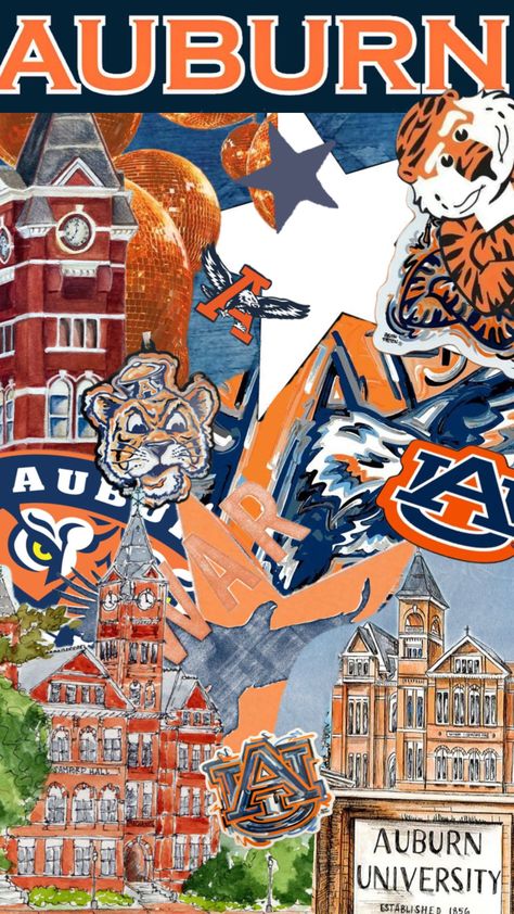 University Aesthetic, Auburn Football, Wallpaper Iphone Summer, Dream College, Dream School, Auburn University, Iphone Wallpaper Girly, Auburn Tigers, Grad Parties