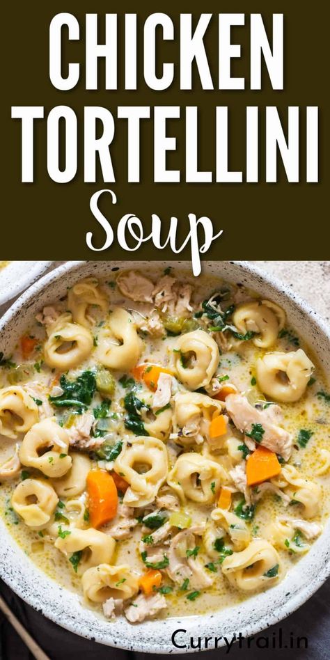 creamy chicken tortellini soup in a bowl Chicken Tortilini Soup, Chicken Tortalini Soup, Chicken Tortillini Soup, Creamy Chicken Tortellini Soup, Creamy Chicken Tortellini, Cheese Tortellini Soup, Creamy Tortellini Soup, Chicken Tortellini Soup, Chicken Tortellini