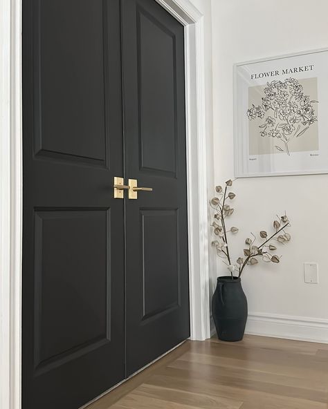 If opportunity doesn’t knock, build a door - a pretty one!🤩 🎨✨ By adding a fresh coat of black paint and new brass hardware you can instantly elevate your home’s style. 🖤🔑 This easy DIY project creates a chic, modern look that feels both sophisticated and timeless. Simply paint your doors with a sleek black finish and replace the existing hardware with elegant brass pieces. The result? A stunning contrast that adds depth and a touch of luxury to any room. 🏡✨ #HomeDecor #DIY #InteriorDesign... Black Door With Brass Hardware, Black House Doors Interior, Black Interior Doors With White Trim Gold Hardware, Black Door Gold Hardware, Black Hallway Doors, Black Interior Front Door, Black Doors Interior, Black Interior Door, Black Hallway