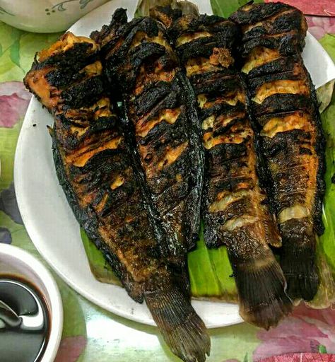 Tuna Belly Recipe, Tuna Belly, Grilled Catfish, Tuna Recipe, Cupcake Toppers Free, Catfish Recipes, Filipino Foods, Tuna Recipes, Lunch Menu