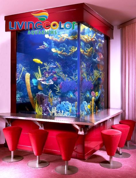 Living Color Aquariums is recognized worldwide for creating custom residential aquariums to satisfy the most discerning clients. Our long list of residential clients includes top movie stars, professional athletes and countless other well-known celebrities. We pride ourselves on our ability to seamlessly integrate unforgettable aquariums into any location. This makes our capabilities to design, build and install award-winning residential aquariums unmatched. Fish Tank Bar, Aquarium Bar, Custom Aquarium, Awesome Houses, Amazing Aquariums, Cool Fish Tanks, Aquarium Ideas, Salt Water Fish, Home Aquarium