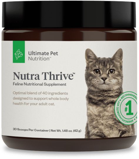 Ultimate Pet Nutrition™ Cat Vitamins, Pet Nutrition, Cat Nutrition, Pet Supplements, Senior Cat, Animal Nutrition, Health Guide, Healthy Digestion, Cat Health