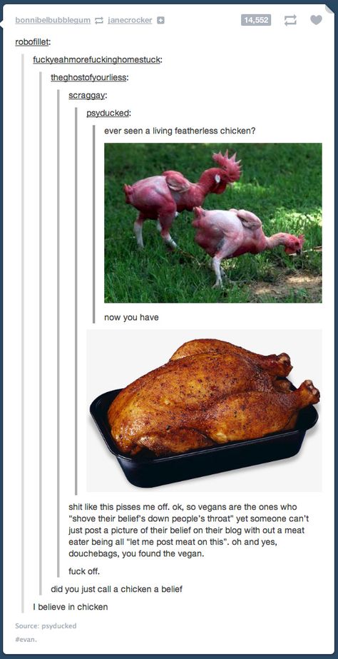 Two Types Of People, Two Kinds Of People, Best Of Tumblr, Funny Tumblr Posts, Types Of People, What’s Going On, Funny Pins, Tumblr Funny, Animal Memes