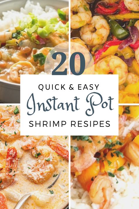 Cooked Prawn Recipes, Instant Pot Shrimp Recipes, Crock Pot Shrimp, Instant Pot Shrimp, Kombucha Recipes, Frozen Shrimp Recipes, Cooked Shrimp Recipes, Make Kombucha, Kombucha Scoby