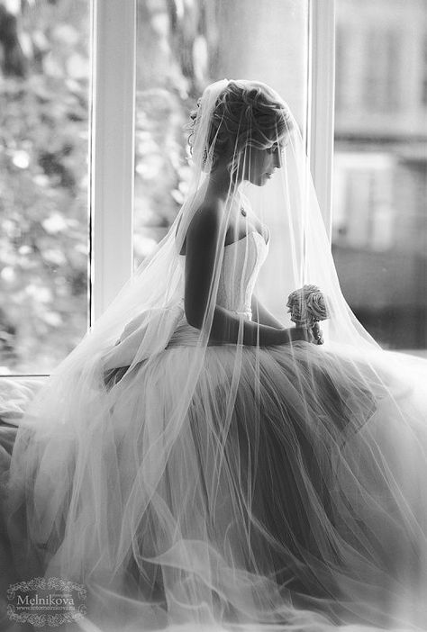 Tulle Wedding Veil, Wedding Picture Poses, Wedding Picture Ideas, Wedding Pic, Wedding Photos Poses, Bridal Portrait, Mod Wedding, Wedding Photography Poses, Wedding Photography Ideas