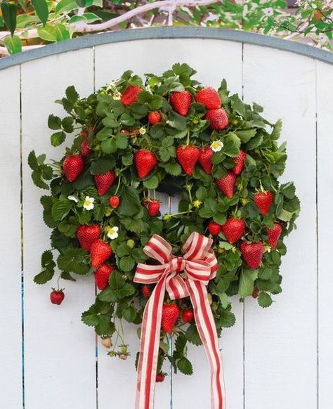 Strawberry Wreath, Living Wreath, Strawberry Kitchen, Strawberry Farm, Strawberry Fields Forever, Strawberry Garden, Strawberry Decorations, Red Cottage, Strawberry Patch