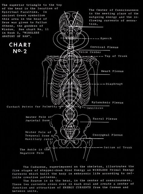 Polarity therapy works with the electromagnetic field to enhance the energy flow and  balance the chakra system. According to Dr. Stone, we are fields of pulsating life energy made up of 5 elements (Ether, Air, Fire, Water, Earth) and 3 gunas (Sattva, Rajas, Tamas concepts from Ayurveda tradition). Each element has its own vibration and frequency and is in constant motion, exchanging energy between the positive, neutral, and negative poles in the body. Air Fire Water Earth, Polarity Therapy, Chakra Health, Sacred Science, Medical Student Study, Electromagnetic Field, Japanese Water, Body Map, Air Fire