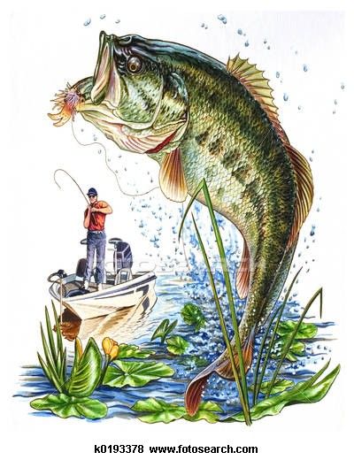 My hubby wants this as his first tattoo... Bass Fishing Pictures, Large Mouth Bass, Fishing Art, Bawah Air, Fish Artwork, Fish Coloring Page, Bass Fish, Fishing Pictures, Cottage Signs