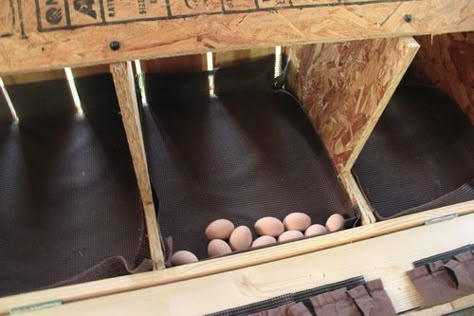 My roll-out nest boxes ~*~Pic Heavy~*~ Nesting Boxes For Chickens, Chicken Laying Boxes, Nesting Boxes Diy, Urban Chicken Farming, Nest Boxes, Chicken Nesting Boxes, Chicken Tractors, Chicken Coup, Chicken Tractor