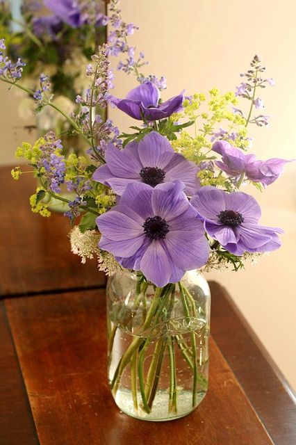 Wild flower bouquets.    Honey, I bought  flowers for myself because you don't... June Flowers, Wildflower Garden, Wildflower Bouquet, Beautiful Flower Arrangements, Arte Floral, Beautiful Bouquet, Ikebana, Cut Flowers, Love Flowers