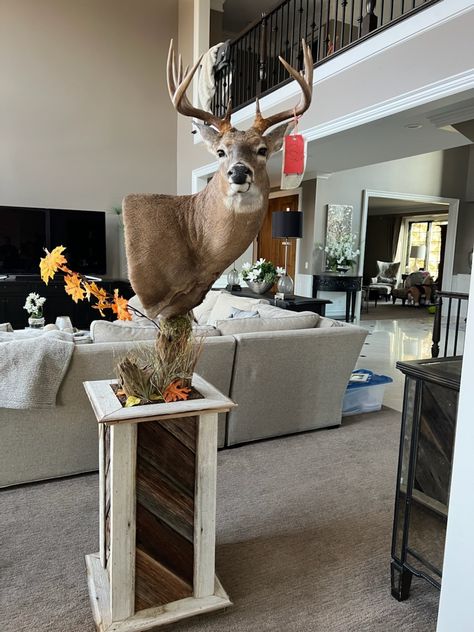 Deer Pedastal Ideas, Deer Mount Pedestal Diy, Pedestal Mounts Taxidermy, Deer Pedestal Base, Deer Mount Pedestal, Pedestal Deer Mount Ideas, Pedestal Deer Mount, Deer Pedestal Mounts, Buck Mounts