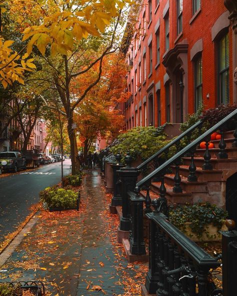 Elena on Instagram: “West Village looking beautiful this time of year 🍁🍂 Wonderful pictures by Kevin @feeling.light Happy Wednesday! #picturesofnewyork” Fall In Nyc, City Life Aesthetic, West Village Nyc, Townhouse Exterior, Fall City, Halloween Week, Nyc Fall, Autumn In New York, New York Pictures