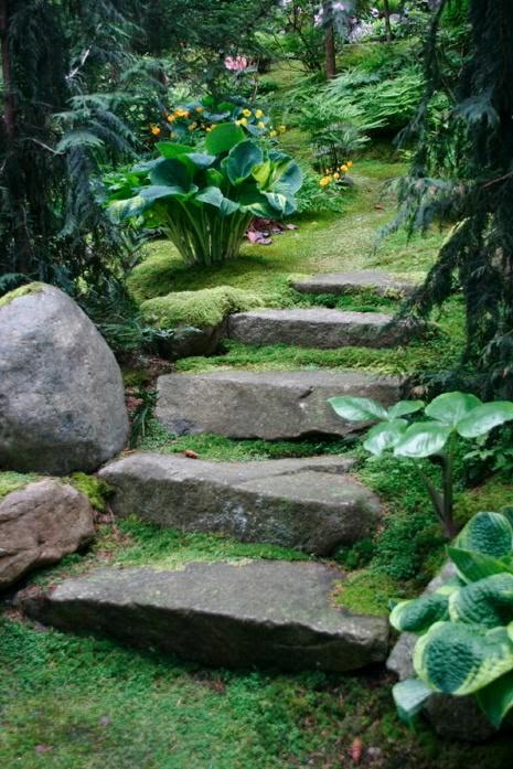 Forest Vegetable Garden, Garden Stairs, Garden Steps, Stone Path, Have Inspiration, Woodland Garden, Garden Pathway, Green Forest, Garden Cottage