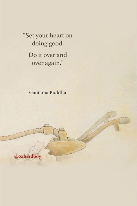 Zen Buddhism Quotes, Photography Captions, Buddha Wisdom, Buddha Quotes Life, Letter For Him, Buddhism Quotes, Zen Quotes, Buddha Quotes Inspirational, Buddhist Philosophy