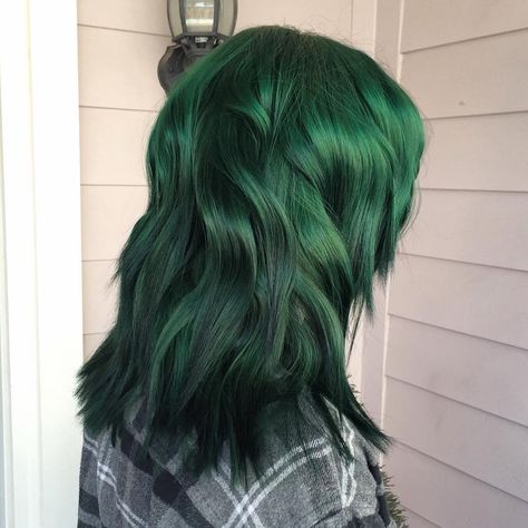 Like the color just not the style Forest Green Hair Dye, Forest Green Hair Color, Forest Green Hair, Green Hair Color, Emerald Green Hair, Green Hair Dye, Hair Colorful, Pravana Vivids, Bright Hair