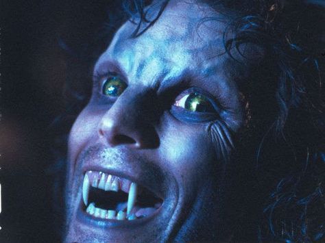 Joe Dante looks back on the werewolves of 'The Howling' The Howling 1981, Primal Fear, Wolf Hybrid, American Werewolf In London, Film Genres, The Howling, Famous Monsters, Lambada, Classic Horror Movies