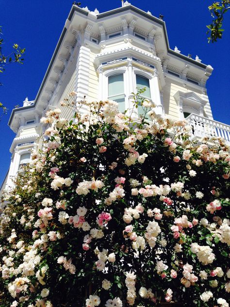 Pacific Heights to Sea Cliff photo walk. Pacific Heights San Francisco, Brownstone Homes, Usa San Francisco, Vintage Homes, Sea Cliff, San Francisco Houses, Pacific Heights, Photo Walk, Nature View