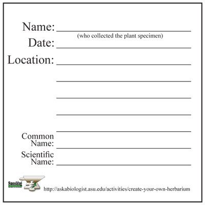 how to make an herbarium label | Step 7: Labelling your plants | ASU - Ask A Biologist Herbarium Journal, Garden Journal Template, Herbarium Sheet, Date Plant, Dried Plants, Herbal Apothecary, Children's Garden, Future Jobs, Plant Identification