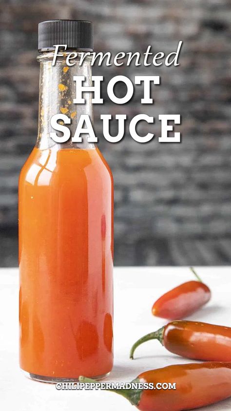 Fermented Hot Sauce Recipe, Types Of Chili Peppers, Fermented Hot Sauce, Venison Meatballs, Quick Pickled Radishes, Hot Pepper Recipes, Hot Sauce Recipe, Chili Pepper Recipes, Pepper Sauce Recipe