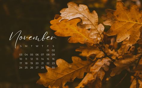 Free November 2024 Desktop Backgrounds // https://tinyurl.com/ycx2h557 #backgrounds #novemberbackgrounds #desktopbackgrounds #desktopbackground #calendar #calendarbackground #aestheticbackgrounds #desktopwallpaper #desktopwallpapers Backgrounds November, Fall Desktop Backgrounds, November Backgrounds, Desktop Wallpaper Fall, November Wallpaper, Calendar Background, November Calendar, Desktop Backgrounds, New Month