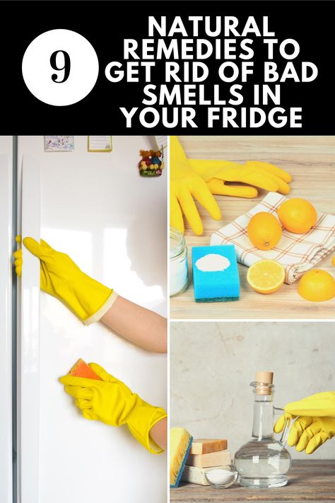 How To Clean Your Fridge, How To Get Rid Of Smell In Fridge, How To Clean Fridge, Smelly Refrigerator, Fridge Odor Eliminator, Smelly Fridge, Fridge Cleaning Hacks, Fridge Cleaning, Fridge Smells