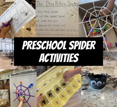 Creepy, Crawly SPIDERS! Spider Activities, Itsy Bitsy Spider, Water Spout, Head Off, Dramatic Play, A Chair, Spiders, Halloween Fun, Scream