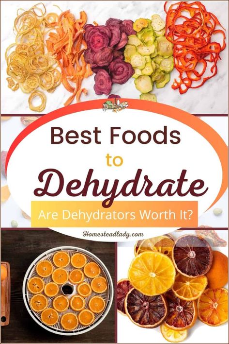 Best Foods to Dehydrate • Homestead Lady Foods To Dehydrate, Best Food Dehydrator, Dehydrate Potatoes, Food Dehydration, Freeze Dryer, Food Dehydrators, Dehydrated Vegetables, Dehydrated Fruit, Most Nutritious Foods