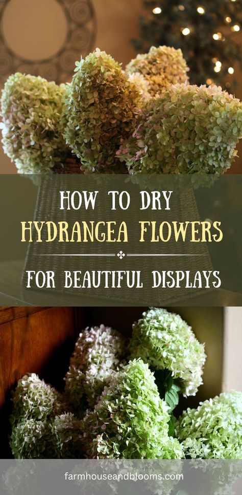 two pictures of drying hydrangea flowers Dry Hydrangea Arrangements, Long Lasting Flowers Arrangements, Dry Hydrangeas, Diy Dried Flower Arrangement, Hydrangea Flower Arrangements, Decorative Trees, Dried Arrangements, Preserved Hydrangea, Hydrangea Arrangements