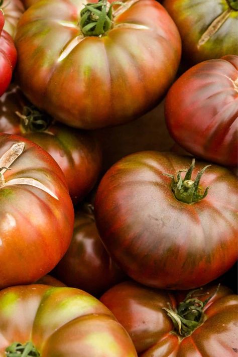 black krim tomatoes Black Krim Tomato, Wine Barrel Garden, Green Zebra Tomato, Heirloom Tomato Plants, Heirloom Tomatoes Varieties, Best Tasting Tomatoes, Watering Tomatoes, Purple Tomato, Tomato Trellis