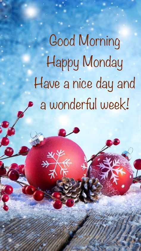 First Monday Of December Quotes, Monday December Quotes, December Monday Quotes, Happy Monday Winter Images, Happy Monday Images Beautiful, December Good Morning Quotes, Happy Monday Winter, Happy Monday Christmas, Happy Monday Gif