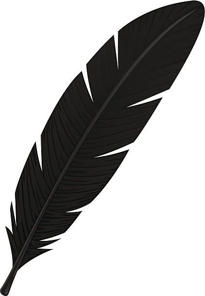 Crow Feathers, Feather Clip Art, Feather Clipart, Geometric Arrow Tattoo, Feather Template, Crow Feather, Spider Web Tattoo, Drawing Refrences, Feather Illustration