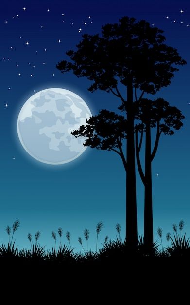 Night Scene Painting, Moon And Trees, Butterfly Tree, Anime Wallpaper Phone, Beautiful Night, Night Scene, Tree Drawing, Night Painting, Night Art