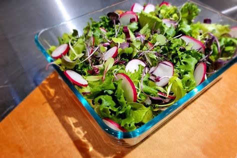 Microgreen & Radish Salad | Seasonal Healthy Recipe Radish Microgreens Recipe, Microgreens Recipe, Botanical Kitchen, Radish Greens, Leafy Salad, Miso Dressing, Radish Salad, Healthy Digestive System, Superfood Salad