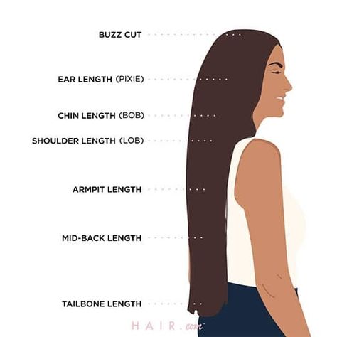 Different Hair Lengths Chart, Should I Cut My Hair, Hair Length Guide, Hair Chart, Hair Length Chart, Makeup Hacks Beauty Secrets, Diy Beauty Hacks, Beauty Makeup Tips, Cut My Hair