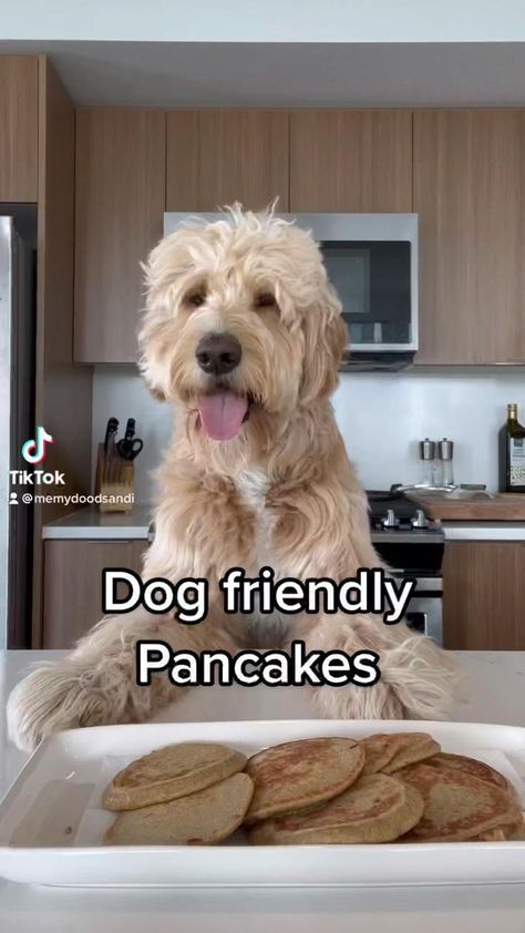 Dog Friendly Pancakes in 2022 | Healthy dog treats homemade, Dog food recipes, Easy dog treats Dog Food Recipes Easy, Homade Dog Treats, Puppy Treats Homemade, Dog Breakfast, Dog Treats Homemade, Foods Dogs Can Eat, Dog Cake Recipes, Pet Treats Recipes, Easy Dog Treat Recipes