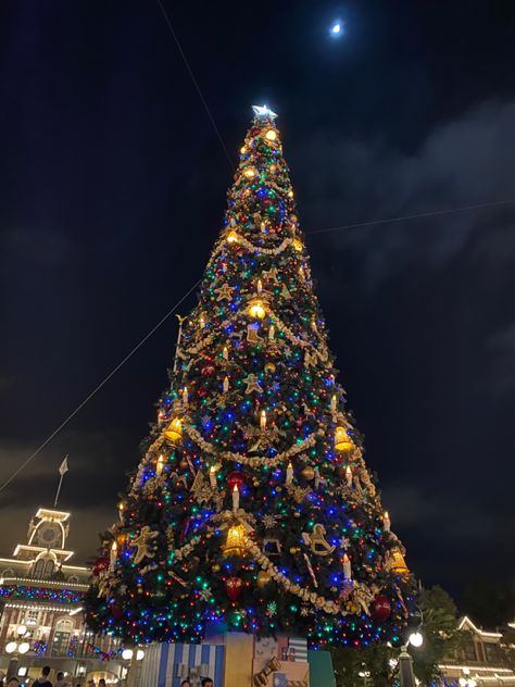 Walt Disney World Magic Kingdom Christmas decor on Main Street Christmas At Disney World, Magic Kingdom Christmas, Christmas At Disney, Disney Christmas Tree, Disney World Planning Guide, Disney World Christmas, Disney World Magic Kingdom, Main Street Usa, Disney World Tips And Tricks