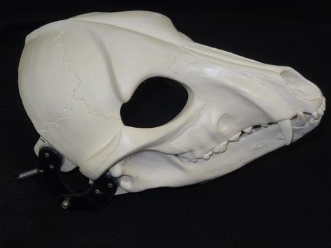 Bone Skeletal K9 Cut and Hinged Mask Dragon Masks, Armor Making, Mask Craft, Skull Dog, Skeleton Mask, Fox Skull, Dreamworks Art, Dog Skull, Wolf Skull