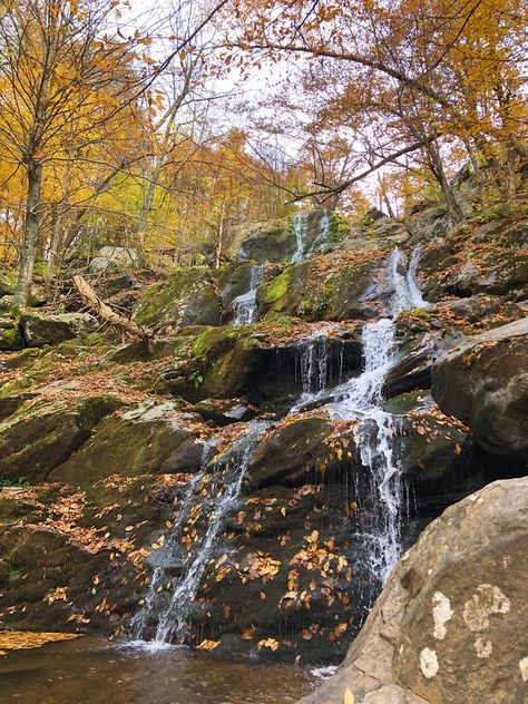 Best Things To Do on Your Fall Trip To Shenandoah National Park - Kris Maria Wanders - Virginia Blogger Shenandoah River, Lost River, New River Gorge, Skyline Drive, River Falls, Shenandoah National Park, New River, Michigan Travel, Appalachian Trail