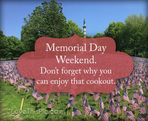 10 Special Happy Memorial Day Weekend Quotes Memorial Day Weekend Quotes, Happy Memorial Day Quotes, Memorial Day Pictures, Labor Day Quotes, Happy Memorial Day Weekend, Family Guy Quotes, Lighting A Candle, Weekend Images, Patriotic Pictures