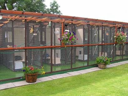 Cat kennel - business opp? Catio Plans, Katt Diy, Chat Diy, Kat Diy, Cat Area, Cat Patio, Outdoor Cat Enclosure, Cat Run, Cat Cages